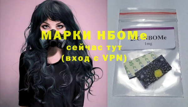 шишки Алексин